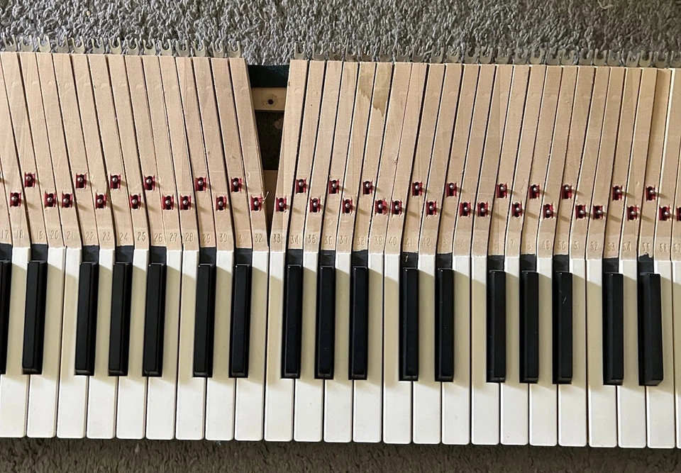 Conjunto completo de 88 teclas de piano vintage/teclas de substituição novas 13"" - Imagem 4 de 4
