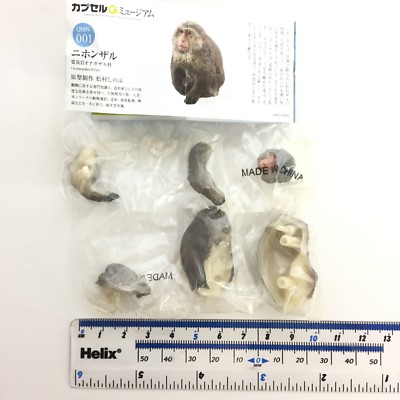 Kaiyodo Capsule Q Museum Miniature Figure Japanese Monkey