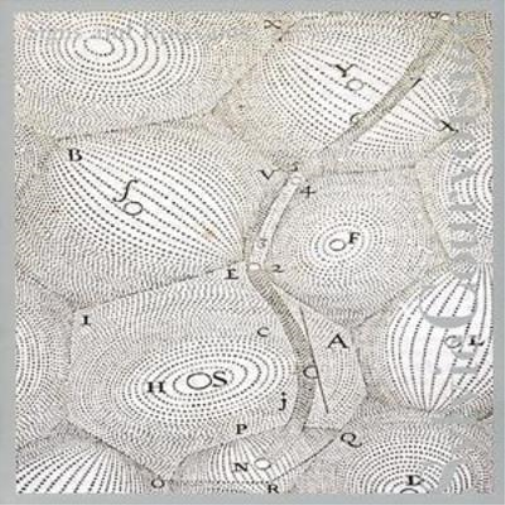 Sylvie Courvoisier Signs and Epigrams (CD) Album