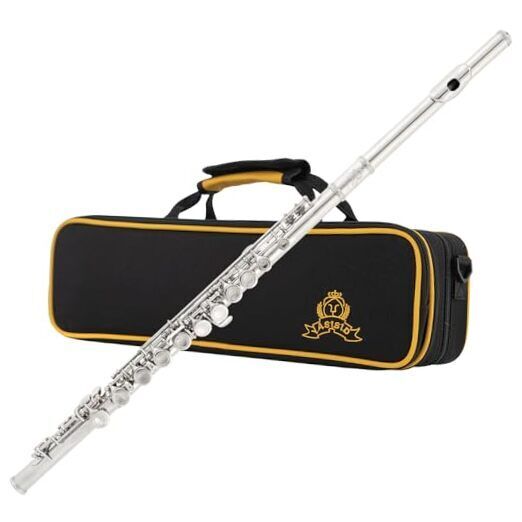 Closed Hole C Flute 16 Keys Instrument for Student Beginners with silver