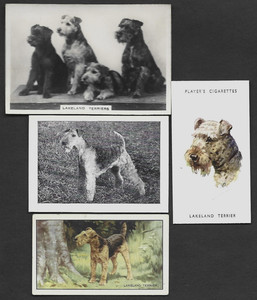 4 Different Vintage LAKELAND TERRIER Tobacco/Cigarette Dog Cards