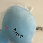 Foto 13 di 14