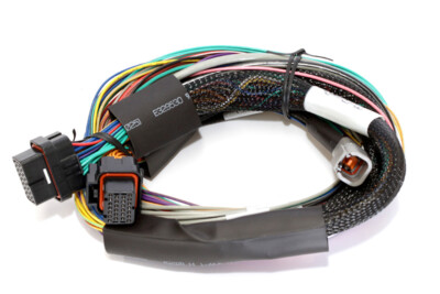 Haltech ECU Elite 1500 Basic Universal Kabelbaum LÄNGE: 2,5 m 8