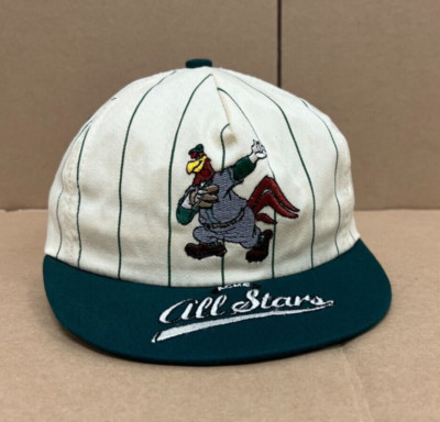 ACME Allstars Pinstripe Youth Snapback Hat