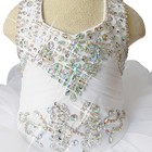 Jenniferwu Baby Toddler  infant Girl Pageant party formal Dress size 3T — photo 2