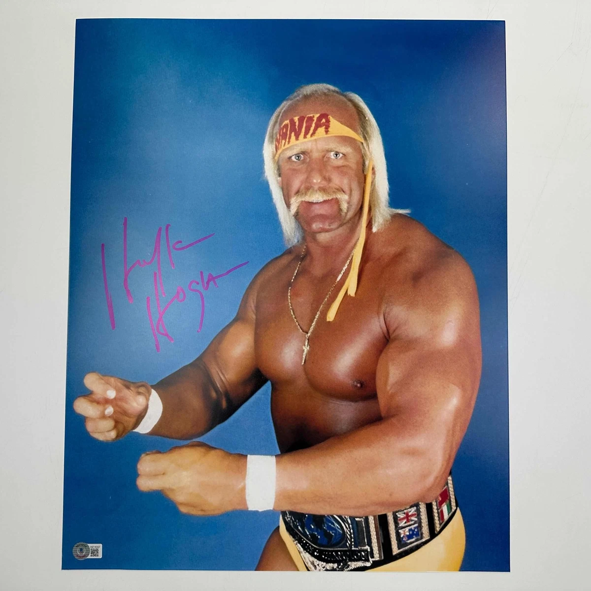 Las mejores ofertas en Hulk Hogan WWE Wrestling artículos con