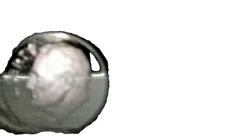 2025 S Roosevelt Dime Gem DCam Proof 99.9% Silver Just Over 200,000 Minted!