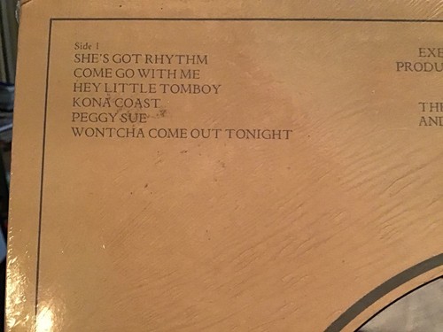 THE BEACH BOYS * 1978* M.I. U. A.L.B.U.M.* SEALED * REPRISE LABEL - Picture 4 of 5