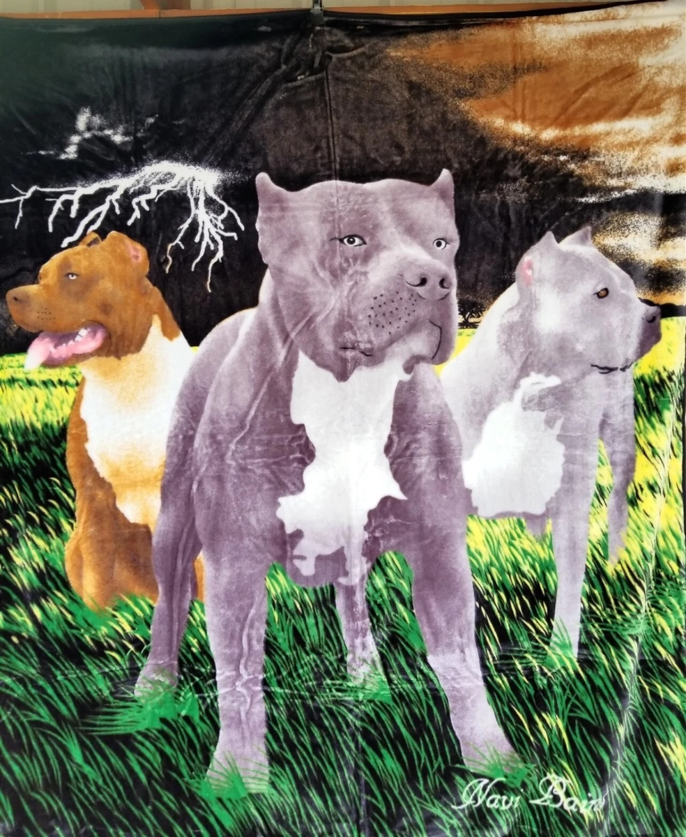 Pitbull comforter top