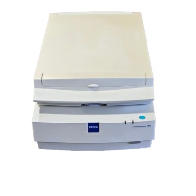 Epson Expression 1680 G780B Artist Flatbed Scanner W/Transparency