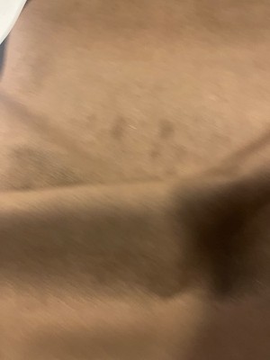 Toray Ultrasuede in Wood 6 yards