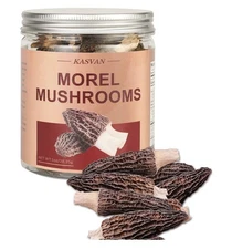 KASVAN Wild Dried Morel Mushrooms  Dehydrated Mushrooms Morchella Conica 1 Oz