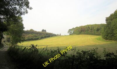 Photo 6x4 Field by Warren House Plantation Abbots Leigh/ST5473 With the  c2014