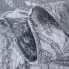 Foto 3 di 4