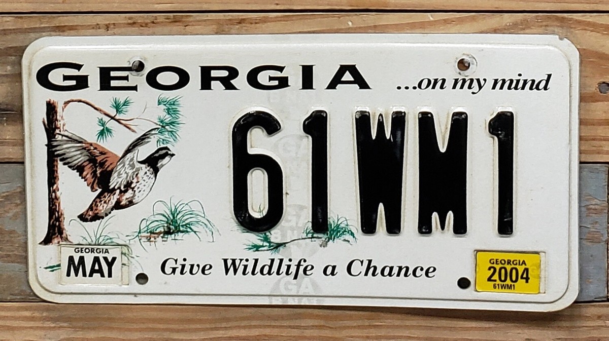 Georgia Expired 2004 