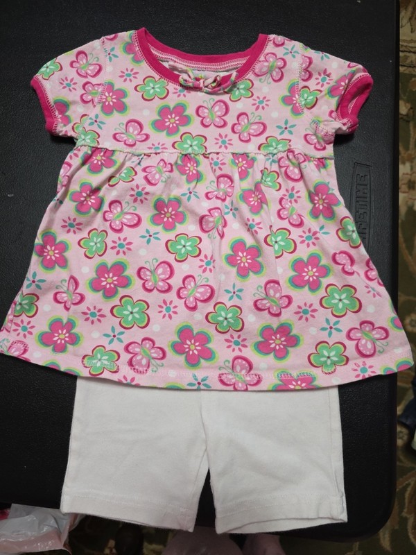 Girls Sz 2-3 Short And Flowered Top Outfit