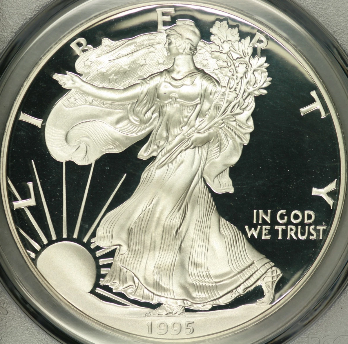 American Eagle 1995 Silver Bullion Coins for sale | eBay