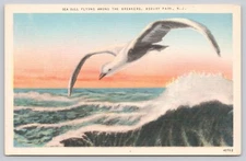 Asbury Park New Jersey Seagull Flying Among The Breakers Linen Postcard Unposted