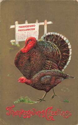 c1910 Turkeys Proclamation Embossed Thanksgiving P291