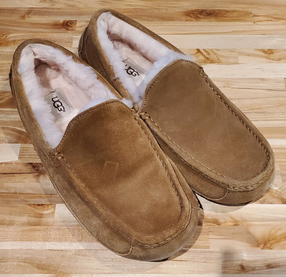 Ugg ascot 10 new arrivals