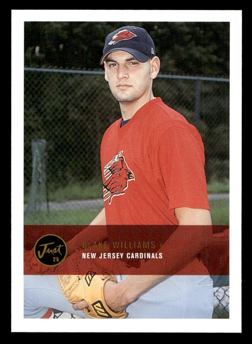 - Blake Williams Baseball card Raw Trading Card