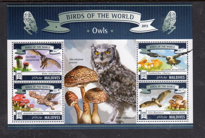 MALDIVES #3412 2015 OWLS MINT VF NH O.G M/S4 (S7)