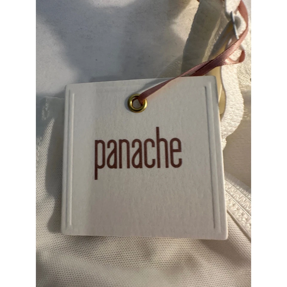 Sujetador Panache Envy Copa Completa Talla 34H Marfil Encaje Borde Soporte con Aros NUEVO Foto 3 de 4