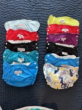 Huge Cloth Diaper Lot with Inserts and Wet Bag