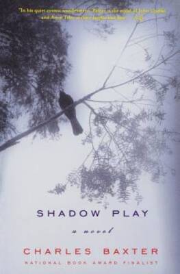 Shadow Play: A Novel (Norton Paperback) - Paperback By Baxter, Charles - GOOD