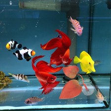 Fish Tank Decorative Ornaments Betta Leaf Pad Fishtank Decoration