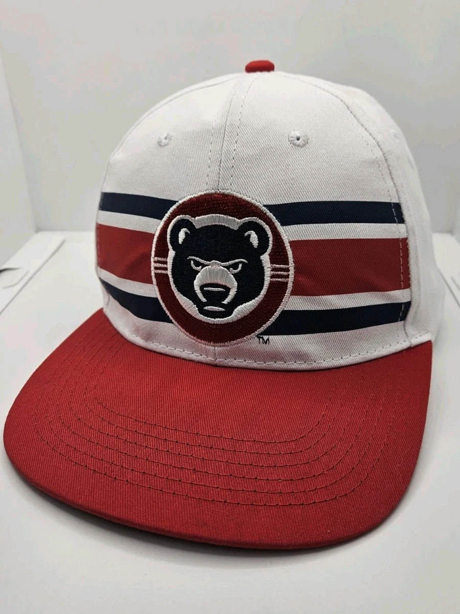Become A South Bend Cubs Partner | Cubs