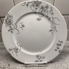 J & G Meakin Cologne Black Transferware 9 7/8" Dinner Plate