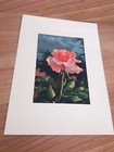 Bild 6 von 10