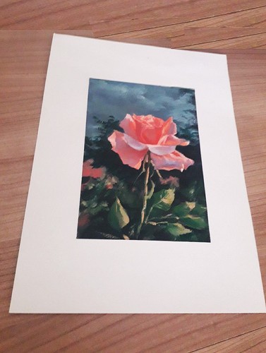 Pink Rose – 8x6 Original Oil Painting on Canvas, Elegant Floral Wall Art - Picture 6 of 10