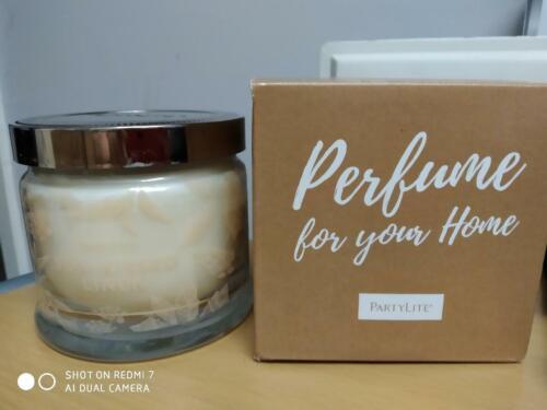 Partylite MIDNIGHT CACTUS SIGNATURE 3-wick JAR CANDLE NIB | eBay UK