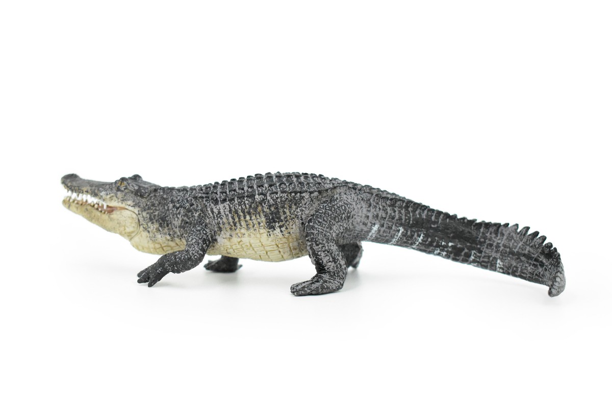 Naef　Alligator　プルトイ Alligator Realistic Hand Painted Figure Model Figurine Replica Toy