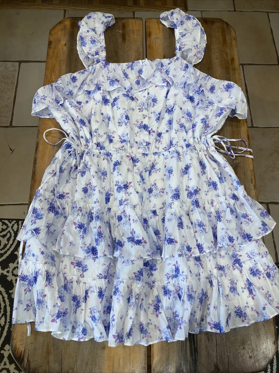 LoveShackFancy For Target Amalie Floral Ruffle Dress 2X NWOT | eBay
