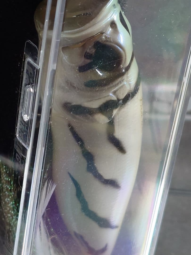 Megabass POPMAX POPMAX Special Shotg - Image 4