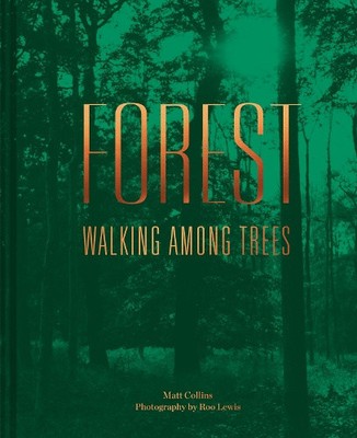 Wald: Wandern zwischen Bäumen von Matt Collins [gebunden]