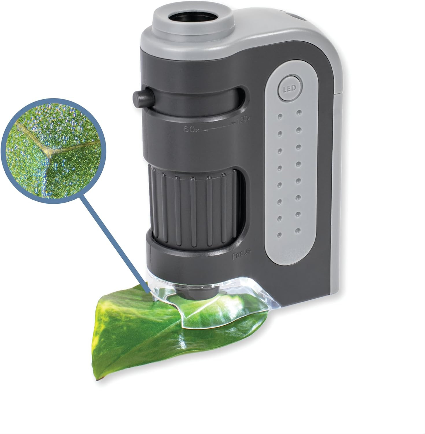 MM-300 Microbrite plus 60 -120X LED Lighted Pocket Microscope, Grey