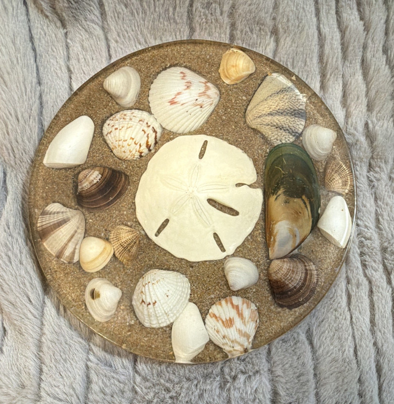 D & M Resin Products Round Resin Trivet Sand Dollar Seashell Beach Theme