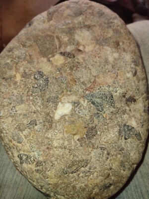 Arizona Pudding Stone, 6.6 Pounds , Perfect Pattern, Beautiful Red And Black...