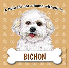 Bichon Frise Magnet - House Is Not A Home Puppy