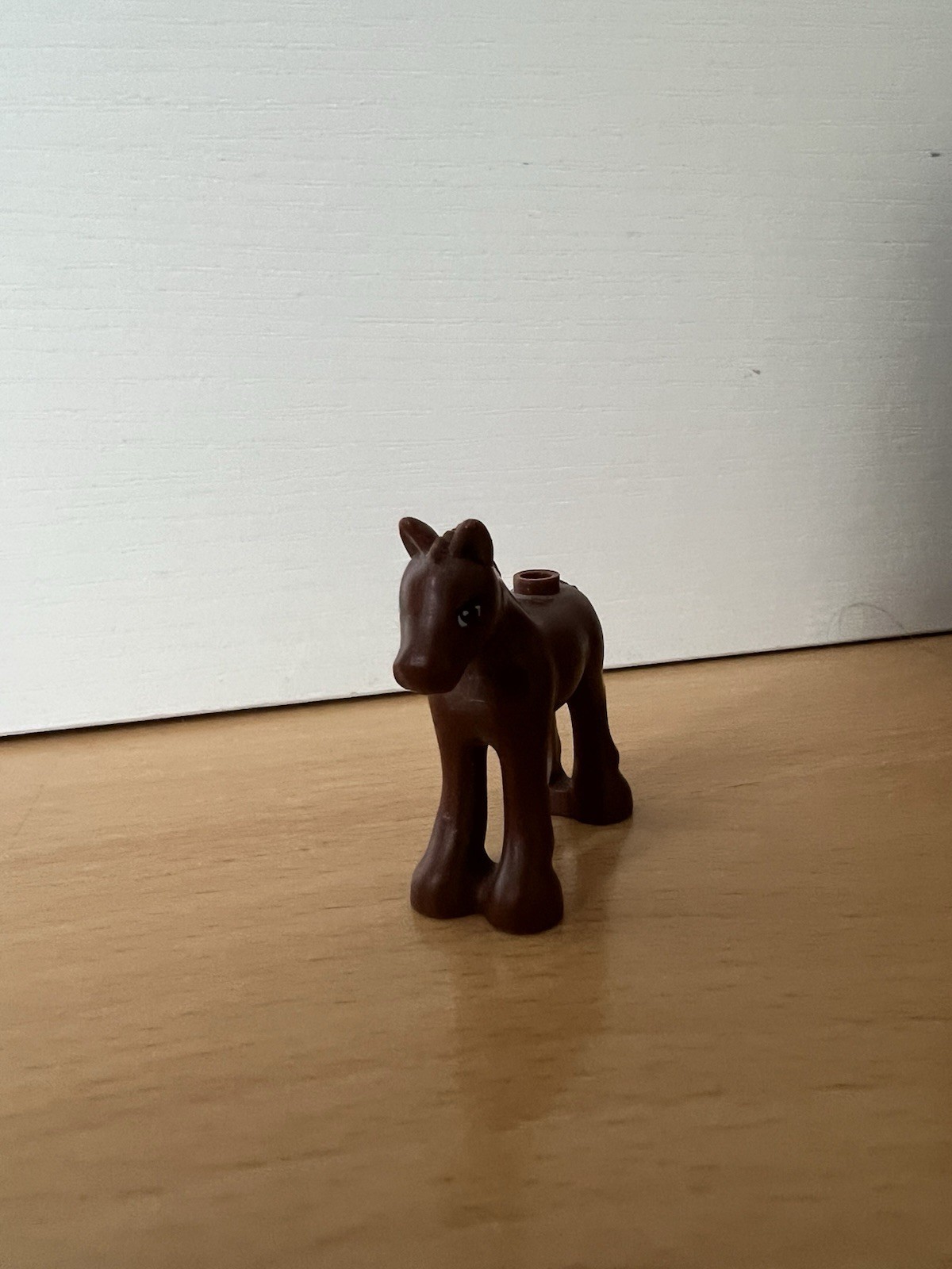 Bild 7 von 12