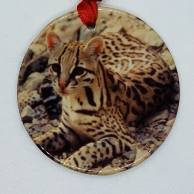 Ocelot Christmas Ornament Zoo Souvenir Wild Cat Lover Gift