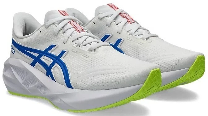 ASICS Novablast 5 White Piedmont Grey W for sale | eBay