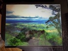 SHENANDOAH NATIONAL PARK VIRGINIA ORIGINAL 8 X 10  PHOTO Hwy 64 Overlook — photo 10