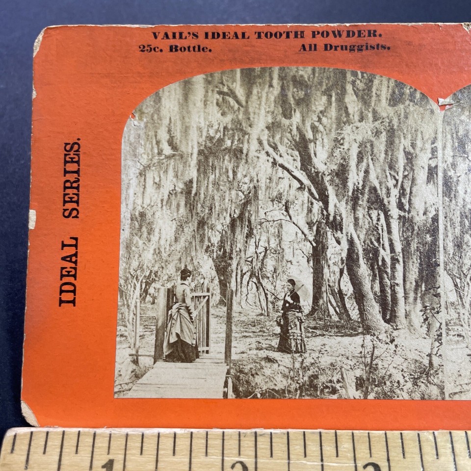 Antique 1860s Rich Women Hibernia Plantation Florida Stereoview Photo