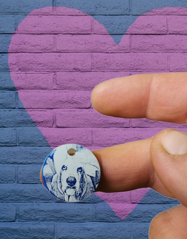 Personalised cat and dog Engraved ID picture and Identification bling for pets - Image 4 of 4