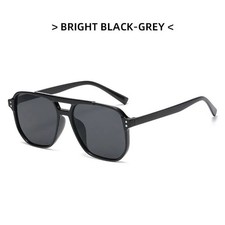 Large Frame Retro Sunglasses Double Bridge UV400 Sun Protection Eyewear